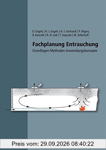 Fachplanung Entrauchung.: Grundlagen - Methoden - Anwendungskonzepte.