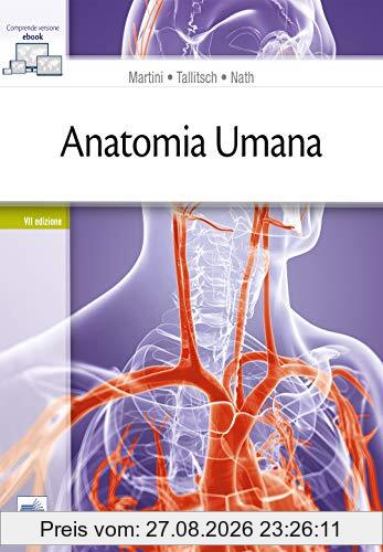 Anatomia umana