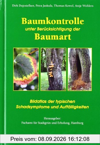 Baumkontrolle unter Berücksichtigung der Baumart: Typische Schadsymptome und Auffälligkeiten