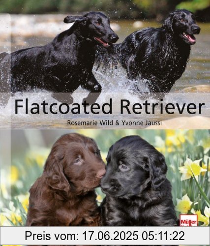 Binding : Gebundene Ausgabe, Edition : 1, Label : Müller Rüschlikon, Publisher : Müller Rüschlikon, medium : Gebundene Ausgabe, numberOfPages : 176, publicationDate : 2013-04-30, authors : Rosemarie Wild, Yvonne Jaussi, languages : german, ISBN : 3275018523