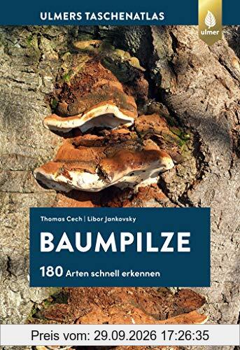 Baumpilze: 180 Arten schnell erkennen