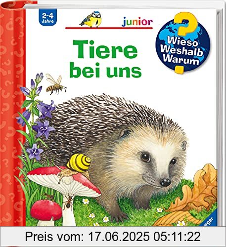 Brand : Ravensburger Verlag, Binding : Spiralbindung, Edition : 1, Label : Ravensburger Verlag GmbH, Publisher : Ravensburger Verlag GmbH, medium : Sonstige Einbände, numberOfPages : 16, publicationDate : 2021-06-30, authors : Patricia Mennen, ISBN : 3473600059