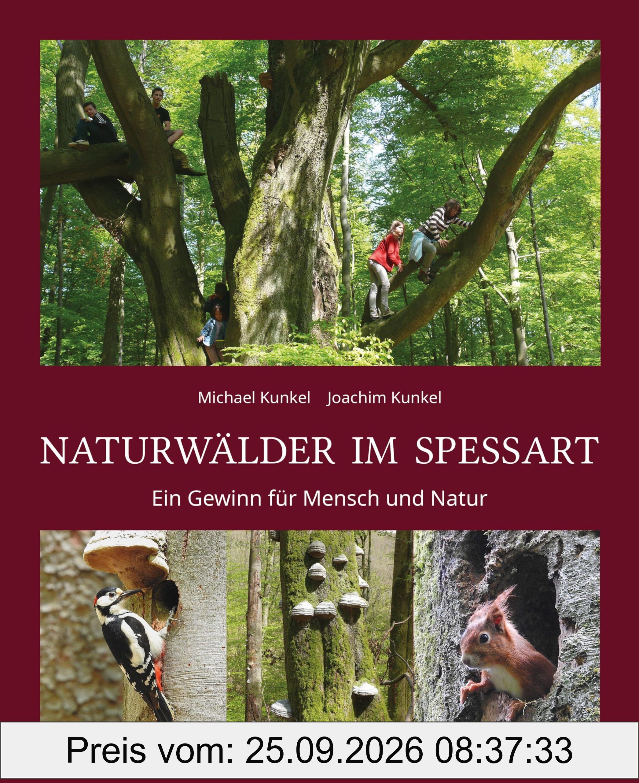 Naturwälder im Spessart: Ein Gewinn für Mensch und Natur