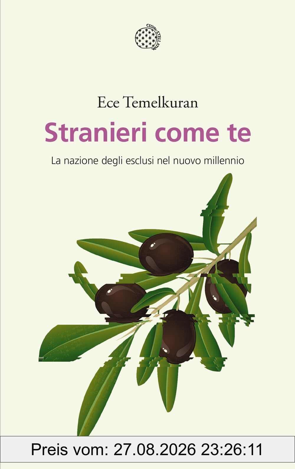 Stranieri come te. La nazione degli esclusi nel nuovo millennio (Saggi)