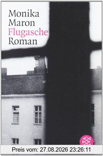 Flugasche: Roman