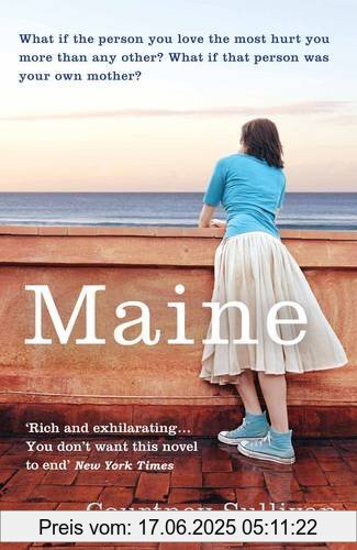 Binding : Taschenbuch, Label : Atlantic Books, Publisher : Atlantic Books, NumberOfItems : 2, medium : Taschenbuch, numberOfPages : 388, publicationDate : 2012-08-01, authors : Courtney Sullivan, languages : english, ISBN : 0857894986