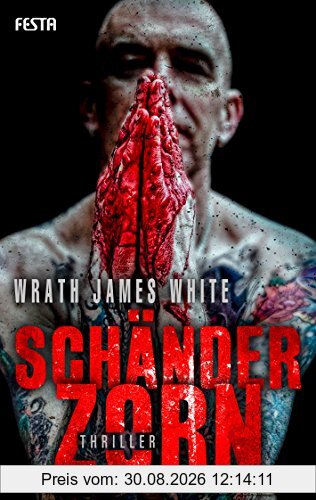 Schänderzorn: Thriller