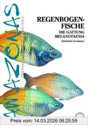 Heinrich Gewinner Regenbogenfische, Die Gattung Melanotaenia