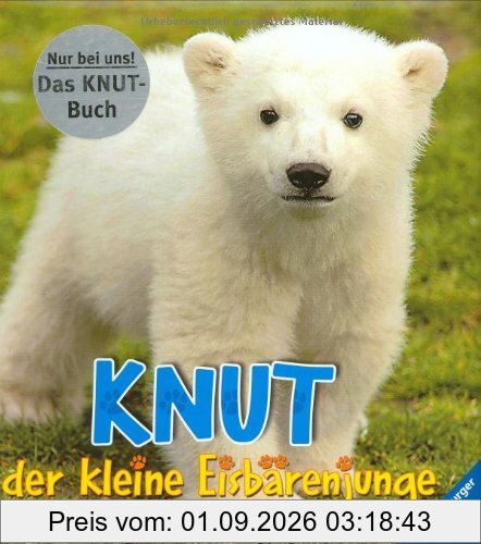 Knut, der kleine Eisbärenjunge