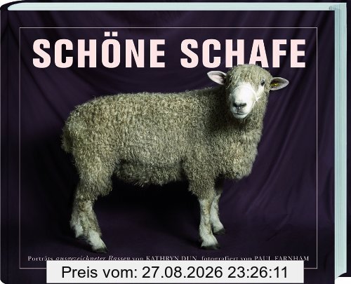 Schöne Schafe