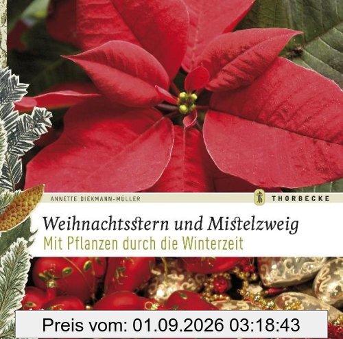 Weihnachtsstern und Mistelzweig: Mit Pflanzen durch die Winterzeit