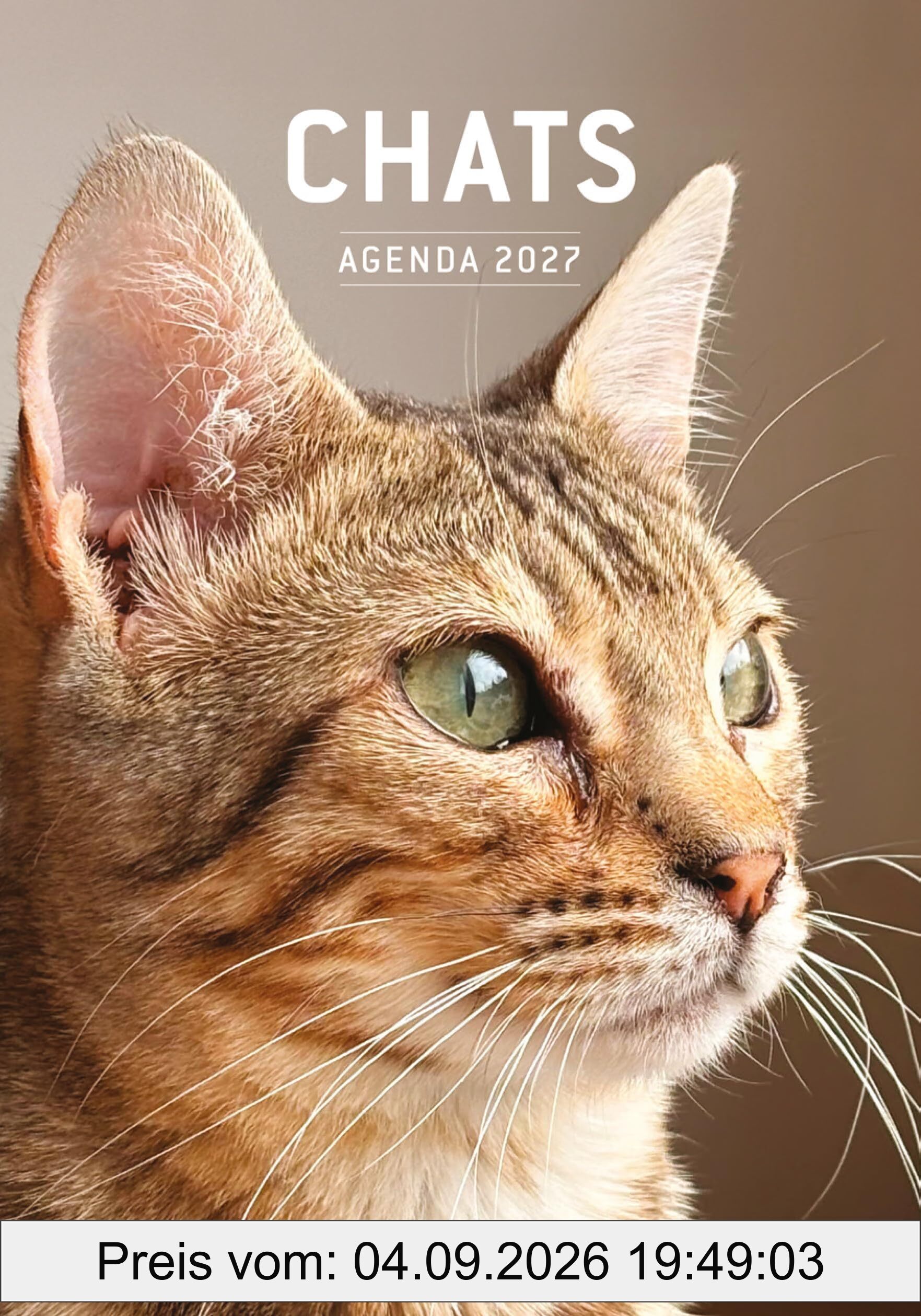 Chats - Agenda 2027