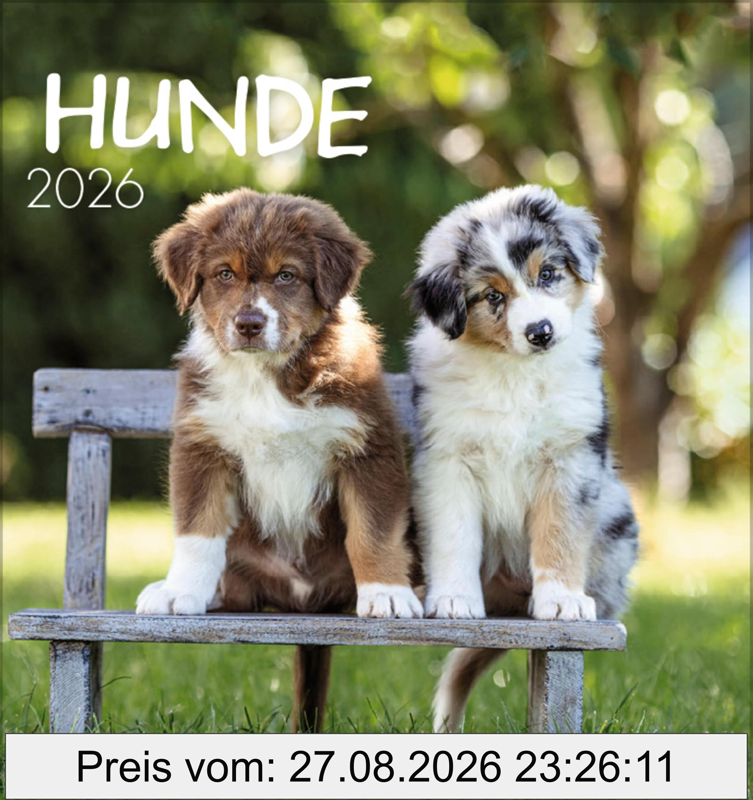 Hunde 2026