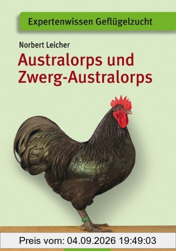 Australorps und Zwerg-Australorps