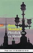 Plötzlich ist es Abend: Roman
