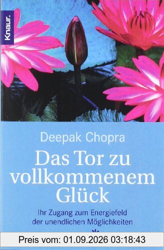 Das Tor zu vollkommenem Glück: Ihr Zugang zum Energiefeld der unendlichen Möglichkeiten