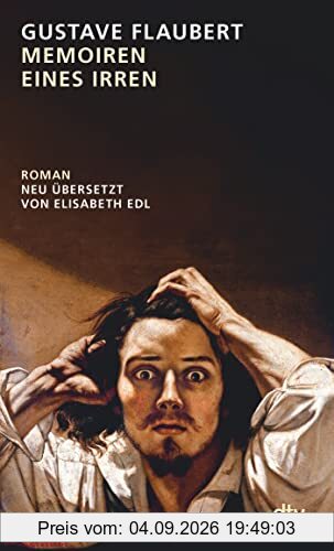 Memoiren eines Irren: Roman