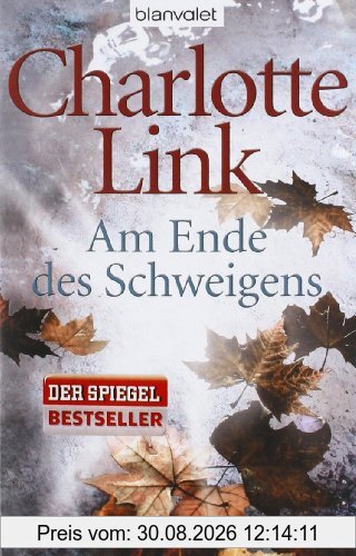 Am Ende des Schweigens: Roman