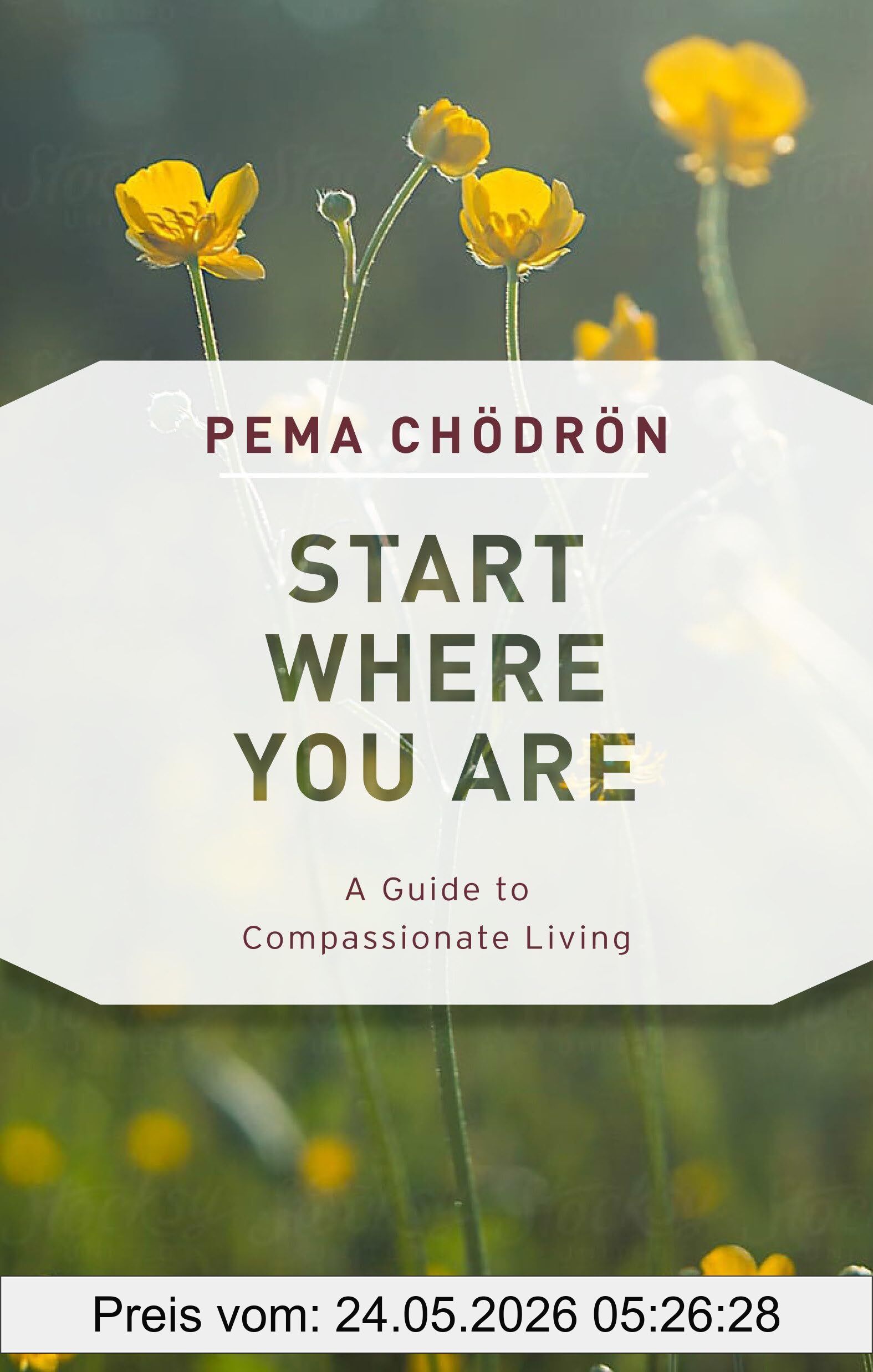 Pema Chödrön Start Where You Are, A Guide To Compassionate Living