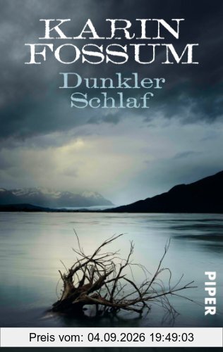 Dunkler Schlaf: Roman