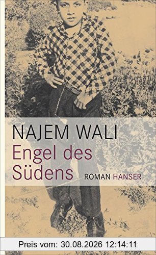 Engel des Südens: Roman