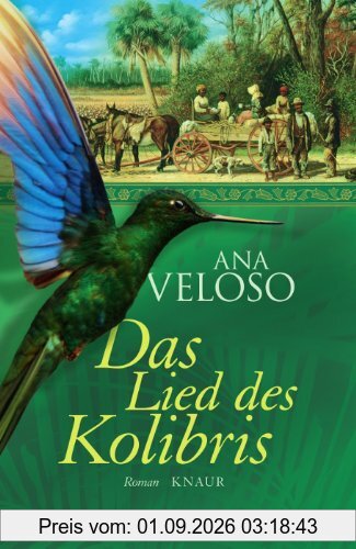 Das Lied des Kolibris: Roman