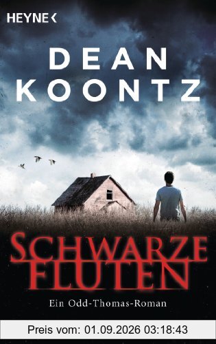 Schwarze Fluten: Odd Thomas 5 - Roman