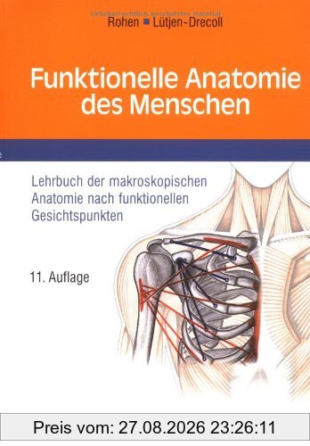 Funktionelle Anatomie des Menschen: Lehrbuch der makroskopischen Anatomie nach funktionellen Gesichtspunkten