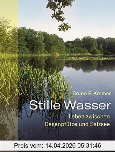 Kremer, Bruno P. Stille Wasser, Leben Zwischen Regenpfütze Und Salzsee