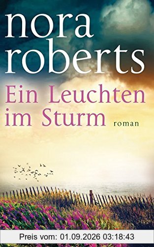 Ein Leuchten im Sturm: Roman