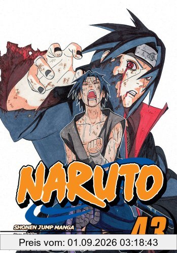 Naruto, Vol. 43: v. 43