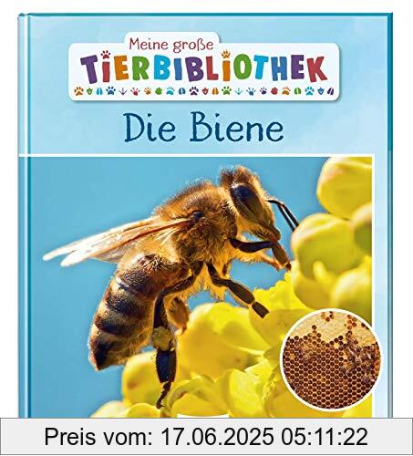 Binding : Gebundene Ausgabe, Edition : 1., Label : Esslinger Verlag, Publisher : Esslinger Verlag, medium : Gebundene Ausgabe, numberOfPages : 32, publicationDate : 2020-03-13, releaseDate : 2020-03-13, authors : Paul Starosta, ISBN : 3480236197