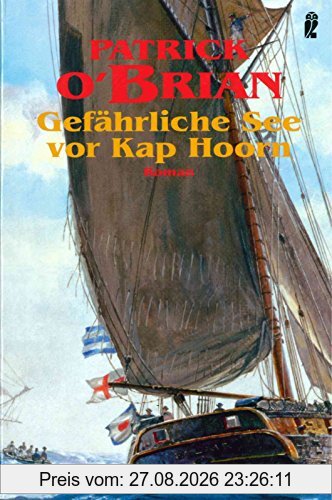Gefährliche See vor Kap Hoorn. Roman