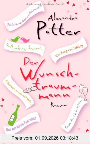 Der Wunschtraummann: Roman