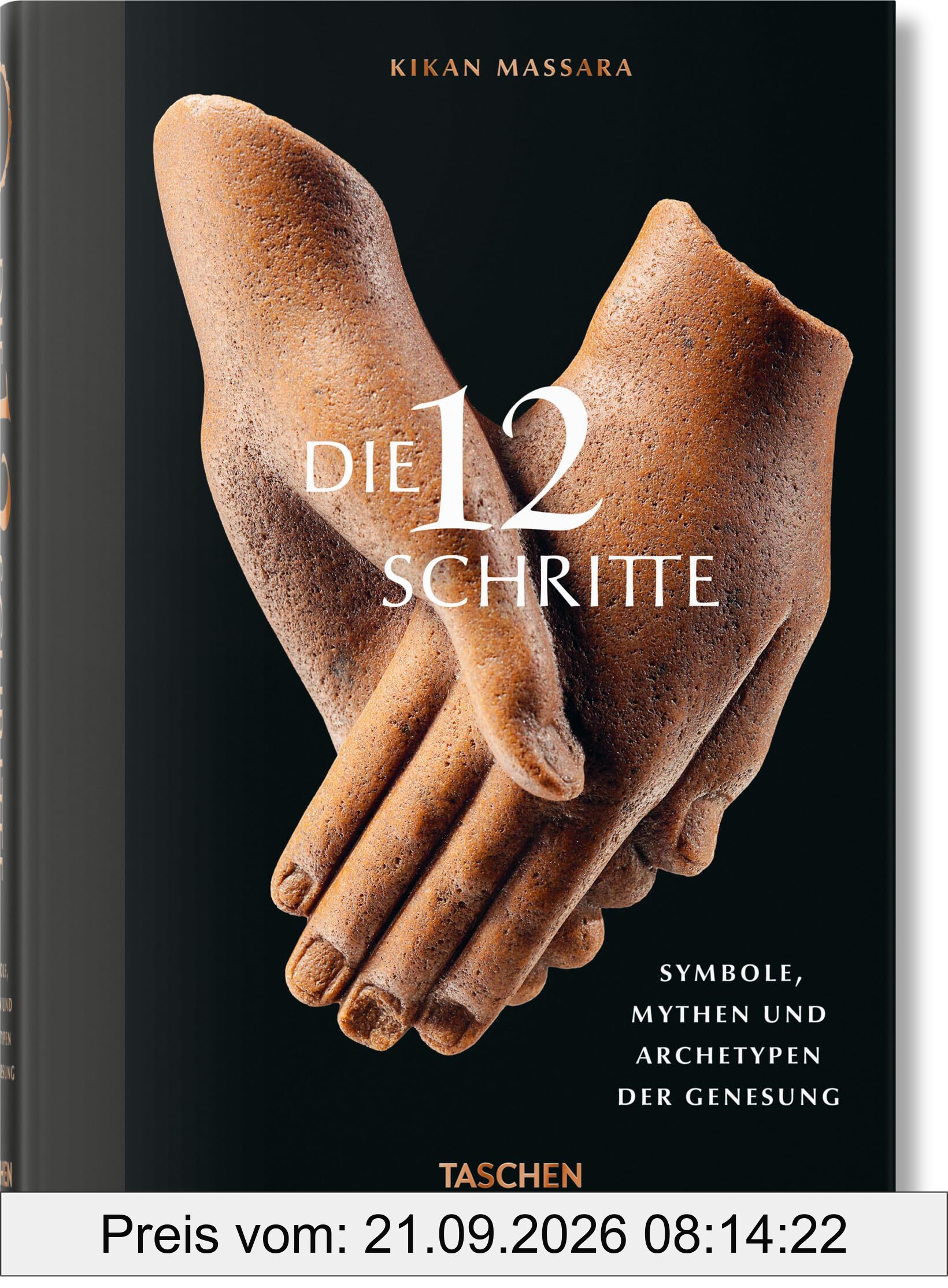 Die 12 Schritte. Symbole, Mythen und Archetypen der Genesung