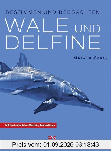 Wale und Delfine: Bestimmen und beobachten