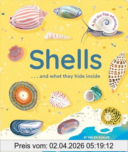 Helen Scales Shells... And What They Hide Inside
