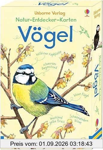 Natur-Entdecker-Karten: Vögel