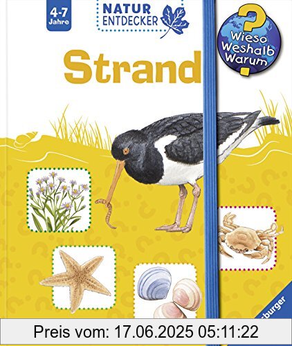 Binding : Spiralbindung, Edition : 2, Label : Ravensburger Buchverlag, Publisher : Ravensburger Buchverlag, medium : Sonstige Einbände, numberOfPages : 24, publicationDate : 2015-02-03, releaseDate : 2015-02-09, authors : Daniela Prusse, languages : german, ISBN : 3473326321