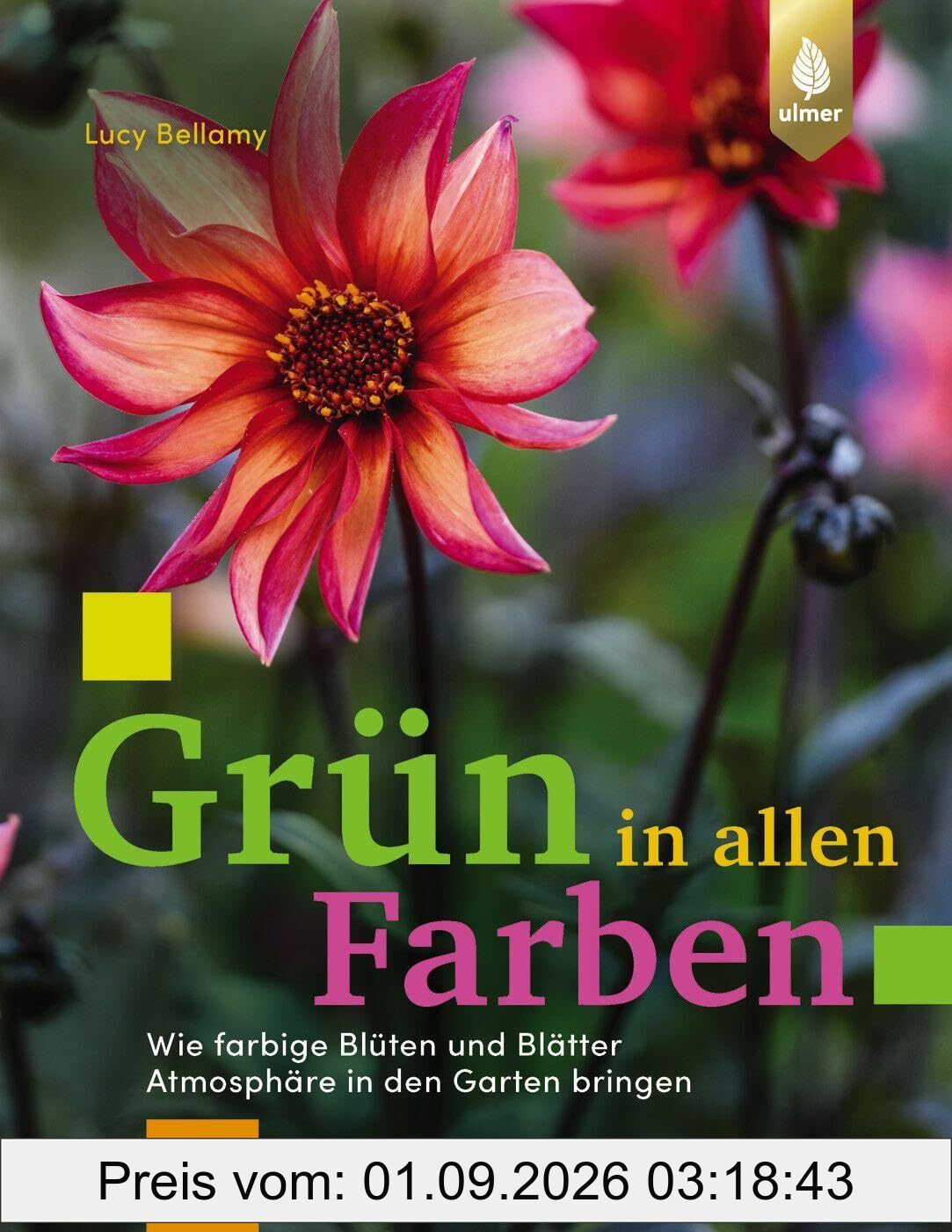 Grün in allen Farben: Wie farbige Blüten und Blätter Atmosphäre in den Garten bringen