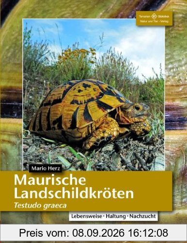 Maurische Landschildkröten: Testudo graeca (Terrarien-Bibliothek)