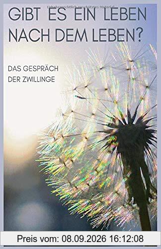 Gibt es ein Leben nach dem Leben?: Das Gespräch der Zwillinge