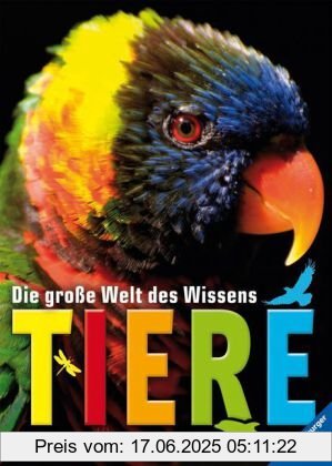 Binding : Gebundene Ausgabe, Edition : 2, Label : Ravensburger Buchverlag, Publisher : Ravensburger Buchverlag, medium : Gebundene Ausgabe, numberOfPages : 160, publicationDate : 2011-02-01, languages : german, ISBN : 3473553212