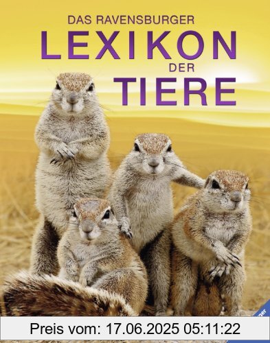 Binding : Gebundene Ausgabe, Edition : 1, Label : Ravensburger Buchverlag, Publisher : Ravensburger Buchverlag, medium : Gebundene Ausgabe, numberOfPages : 256, publicationDate : 2014-07-01, releaseDate : 2014-06-29, authors : Karen McGhee, George McKay, translators : Wolfgang Hensel, languages : german, ISBN : 3473553786