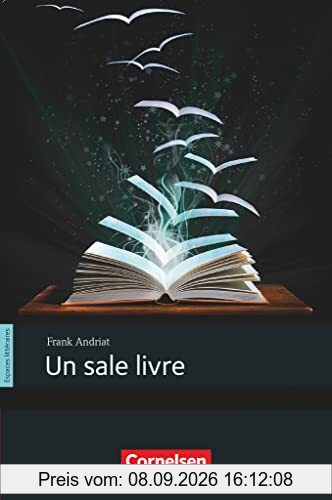 Espaces littéraires - Lektüren in französischer Sprache - B1+: Un sale livre - Lektüre