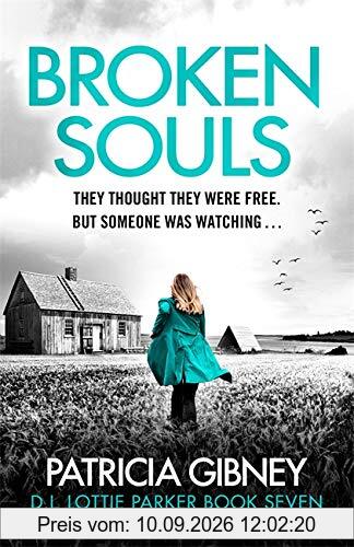 Broken Souls: An absolutely addictive mystery thriller with a brilliant twist (Detective Lottie Parker)