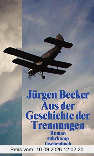 Aus der Geschichte der Trennungen: Roman (suhrkamp taschenbuch)