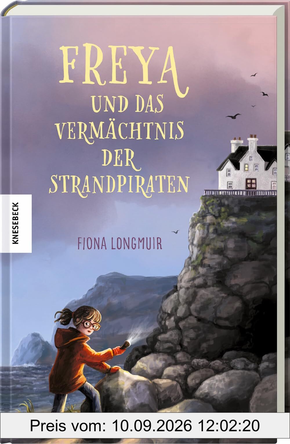 Freya und das Vermächtnis der Strandpiraten