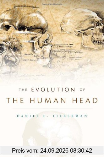 Evolution of the Human Head