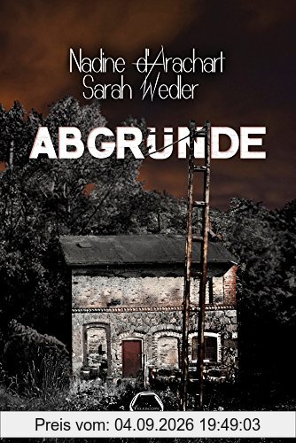 Abgründe: Thriller